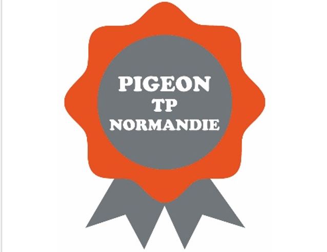 Pigeon TP Normandie